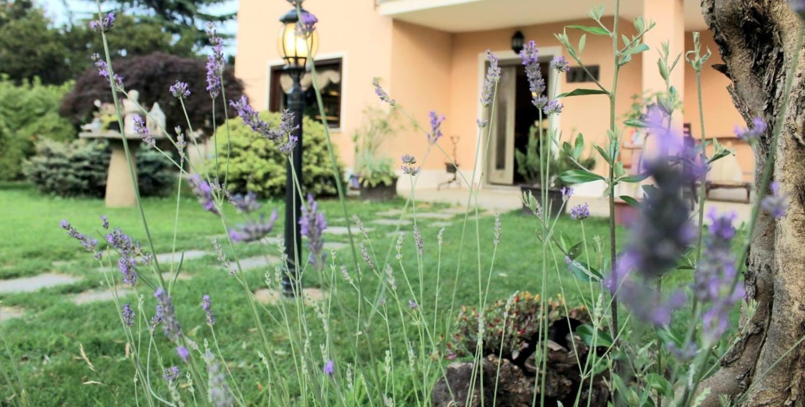 Un Sorriso Sul Viso Villa Martiniana Po Ngoại thất bức ảnh